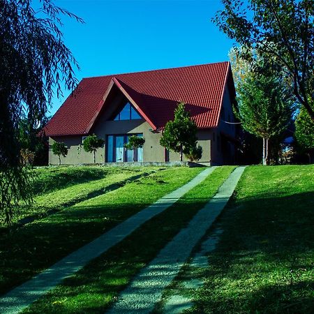 Guesthouse Vila Melisa Răsvadu de Sus 외부 사진