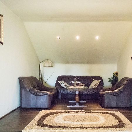 Guesthouse Vila Melisa Răsvadu de Sus 외부 사진