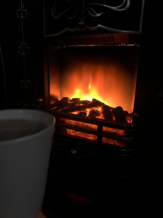 Guesthouse Vila Melisa Răsvadu de Sus 외부 사진