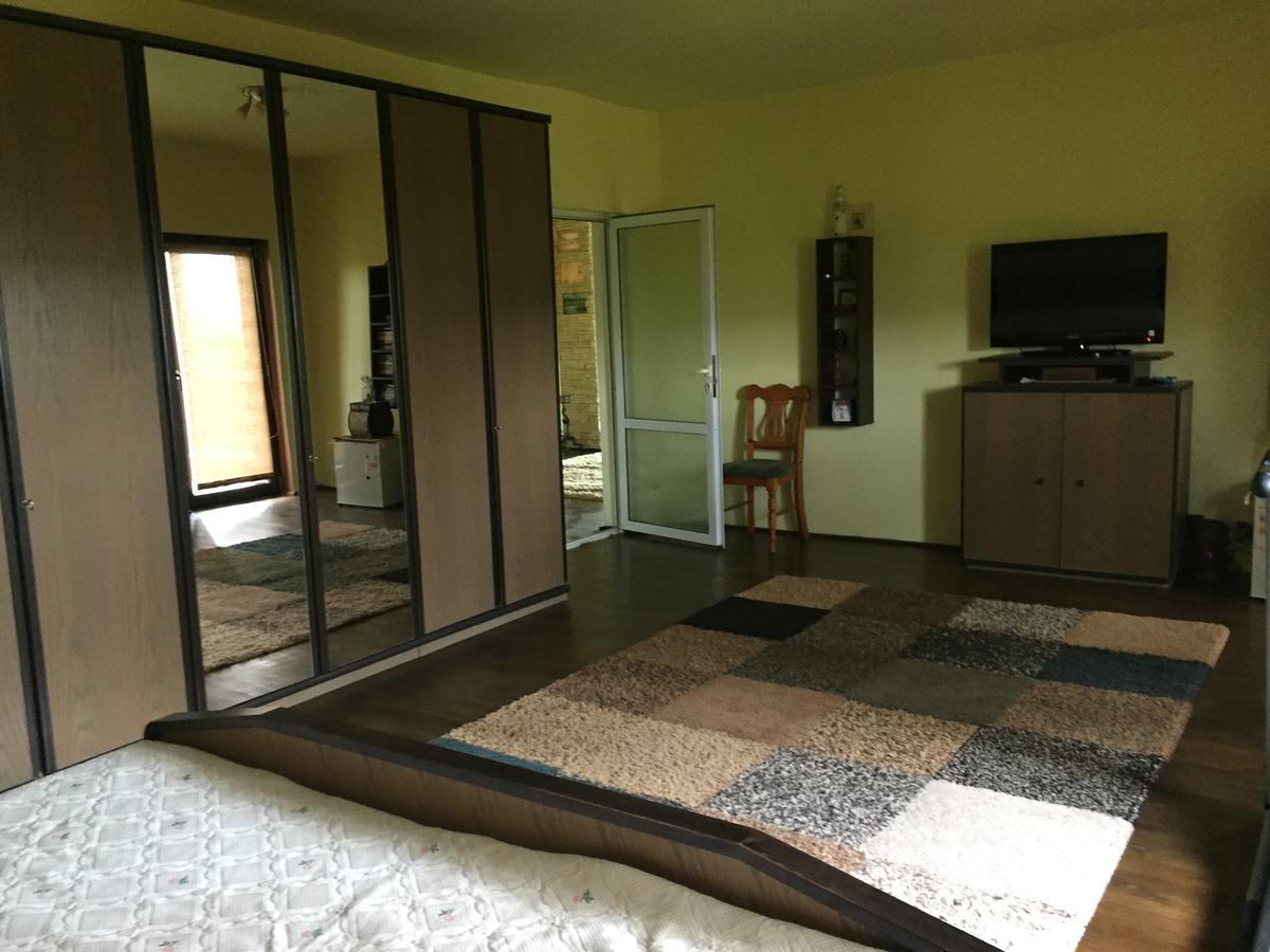 Guesthouse Vila Melisa Răsvadu de Sus 외부 사진
