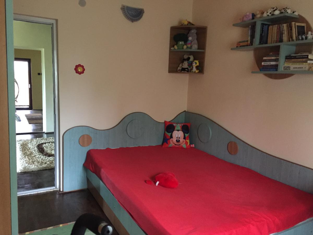 Guesthouse Vila Melisa Răsvadu de Sus 외부 사진