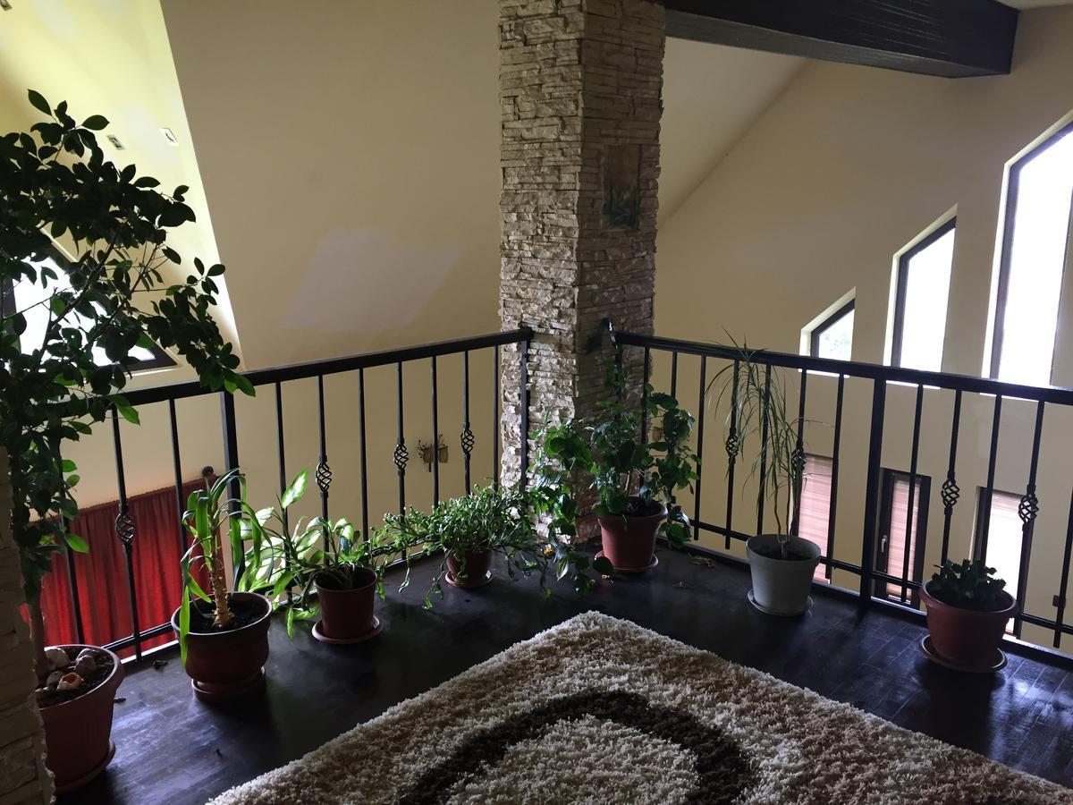 Guesthouse Vila Melisa Răsvadu de Sus 외부 사진