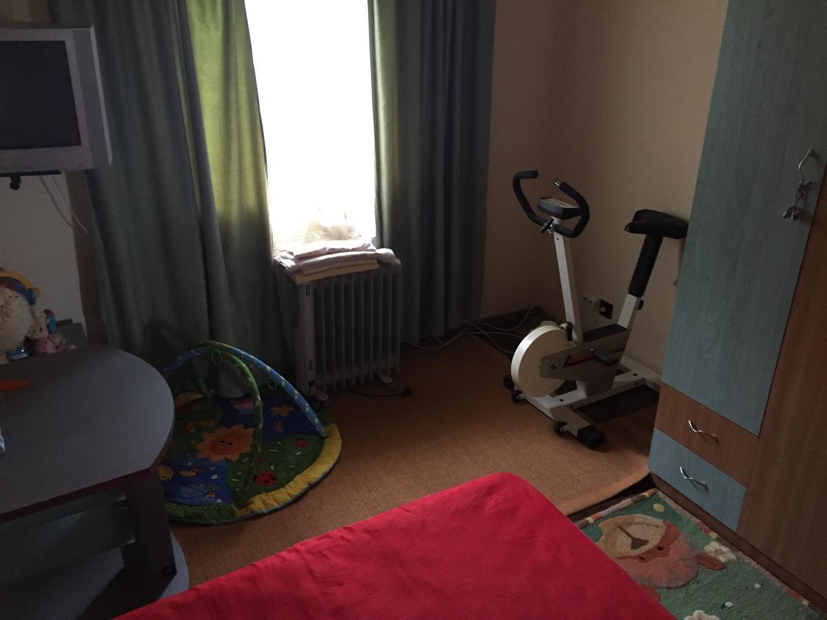Guesthouse Vila Melisa Răsvadu de Sus 외부 사진