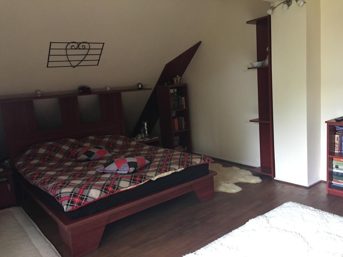 Guesthouse Vila Melisa Răsvadu de Sus 외부 사진