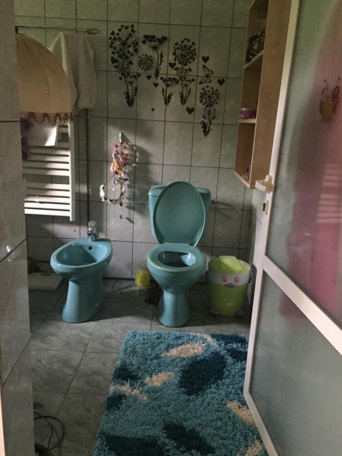 Guesthouse Vila Melisa Răsvadu de Sus 외부 사진
