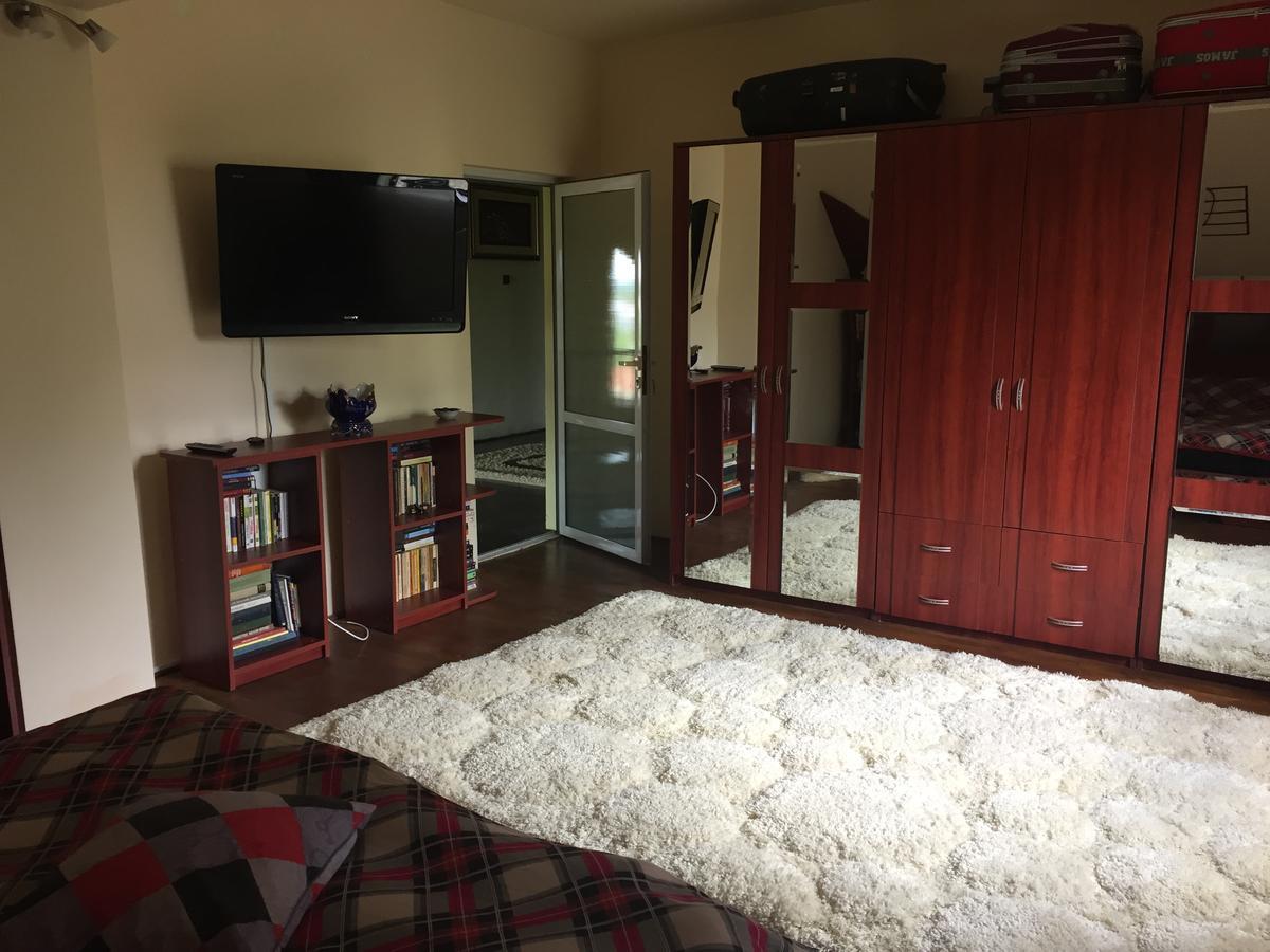 Guesthouse Vila Melisa Răsvadu de Sus 외부 사진