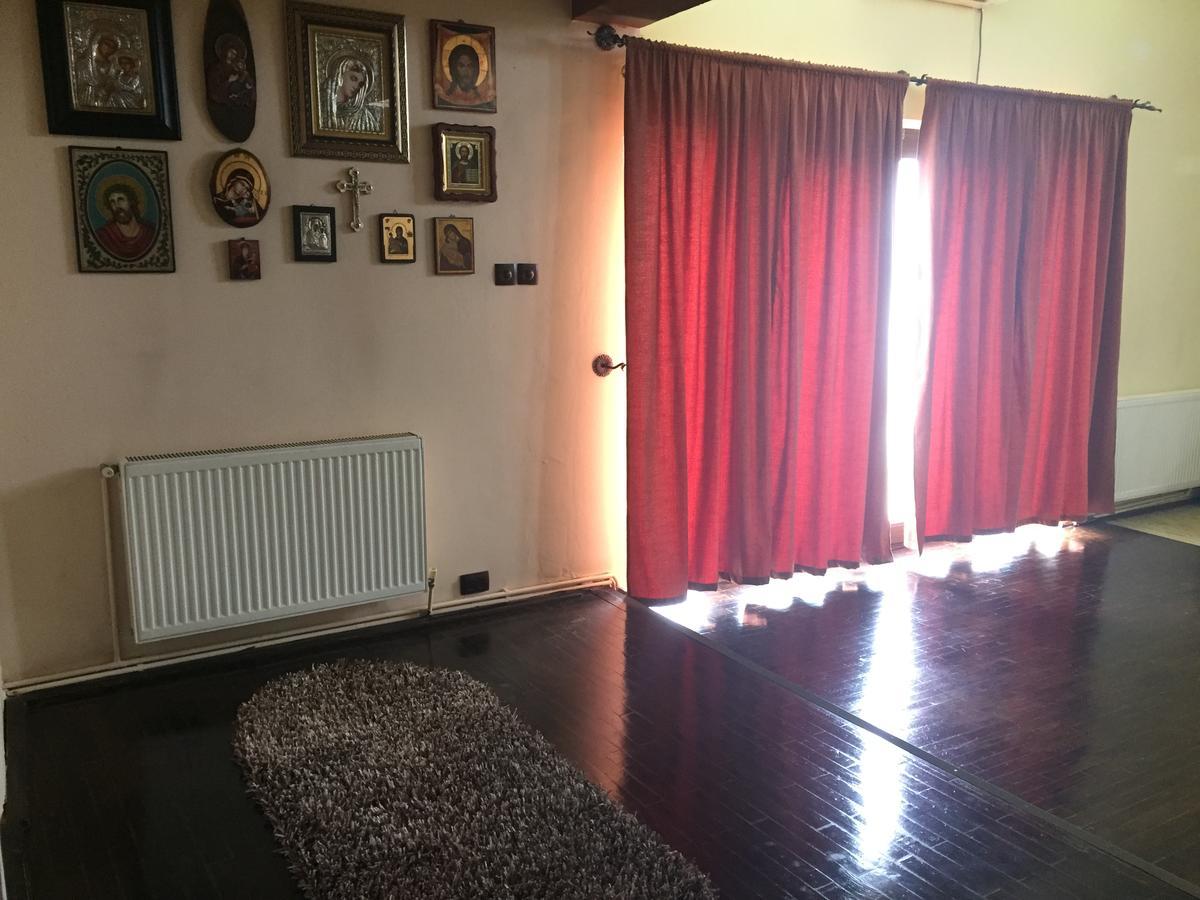 Guesthouse Vila Melisa Răsvadu de Sus 외부 사진