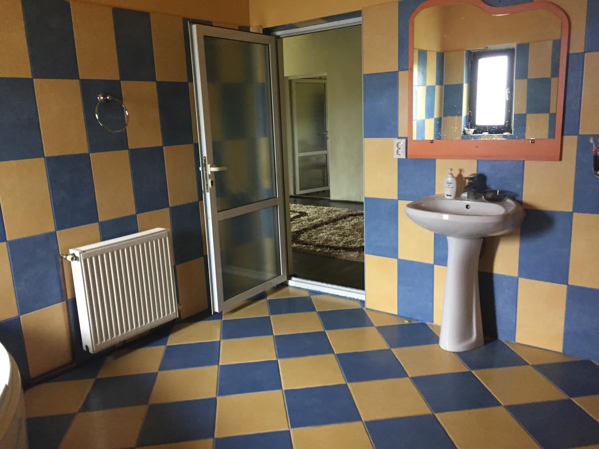 Guesthouse Vila Melisa Răsvadu de Sus 외부 사진