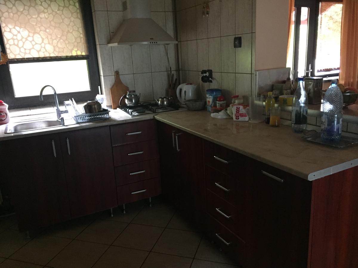 Guesthouse Vila Melisa Răsvadu de Sus 외부 사진
