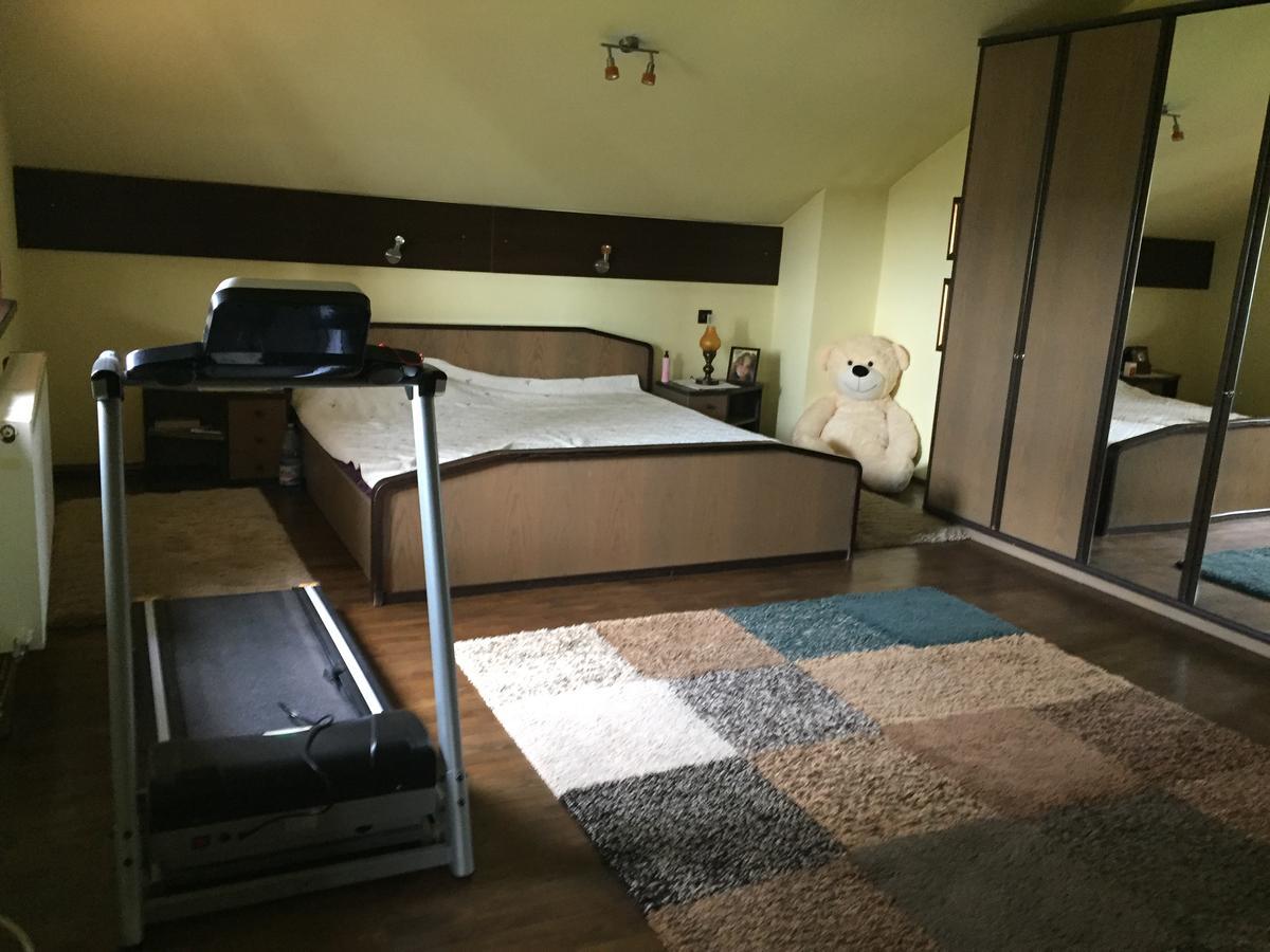 Guesthouse Vila Melisa Răsvadu de Sus 외부 사진