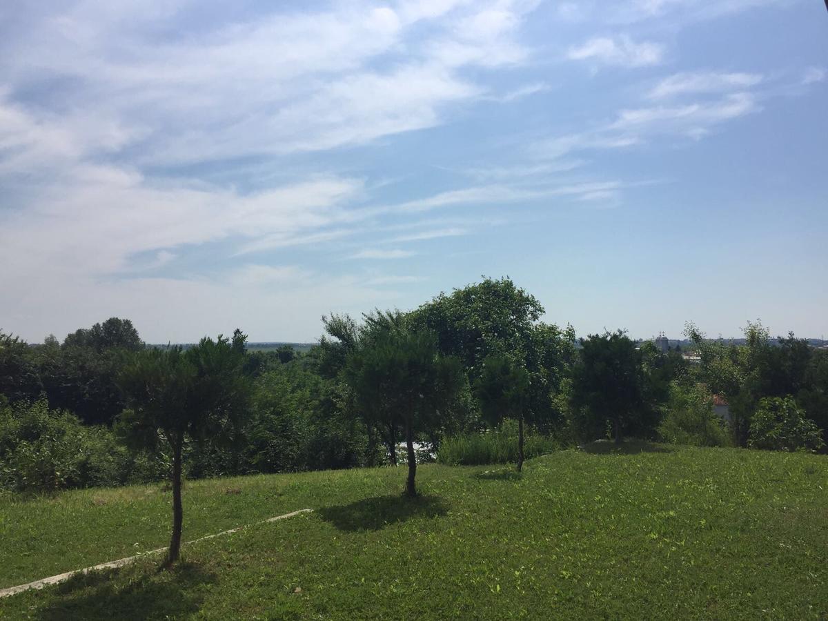 Guesthouse Vila Melisa Răsvadu de Sus 외부 사진
