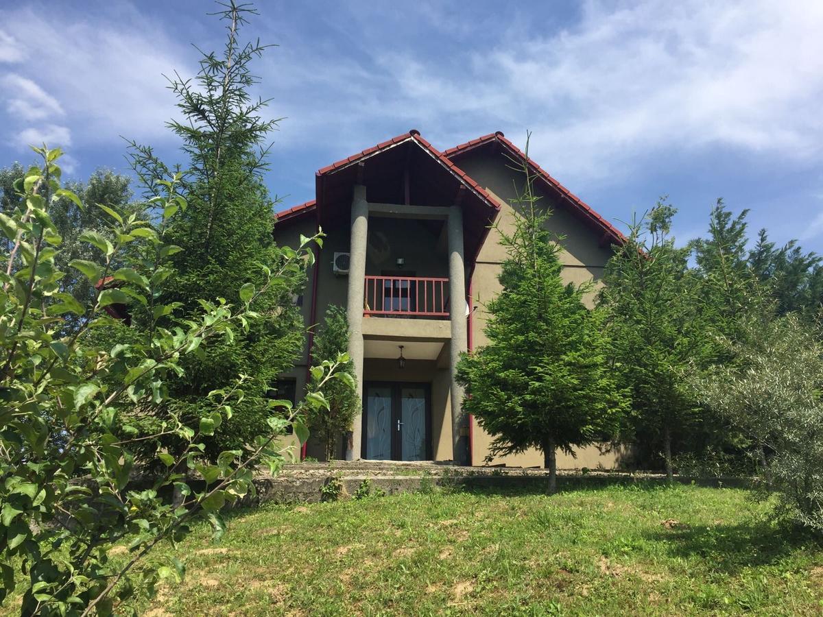 Guesthouse Vila Melisa Răsvadu de Sus 외부 사진