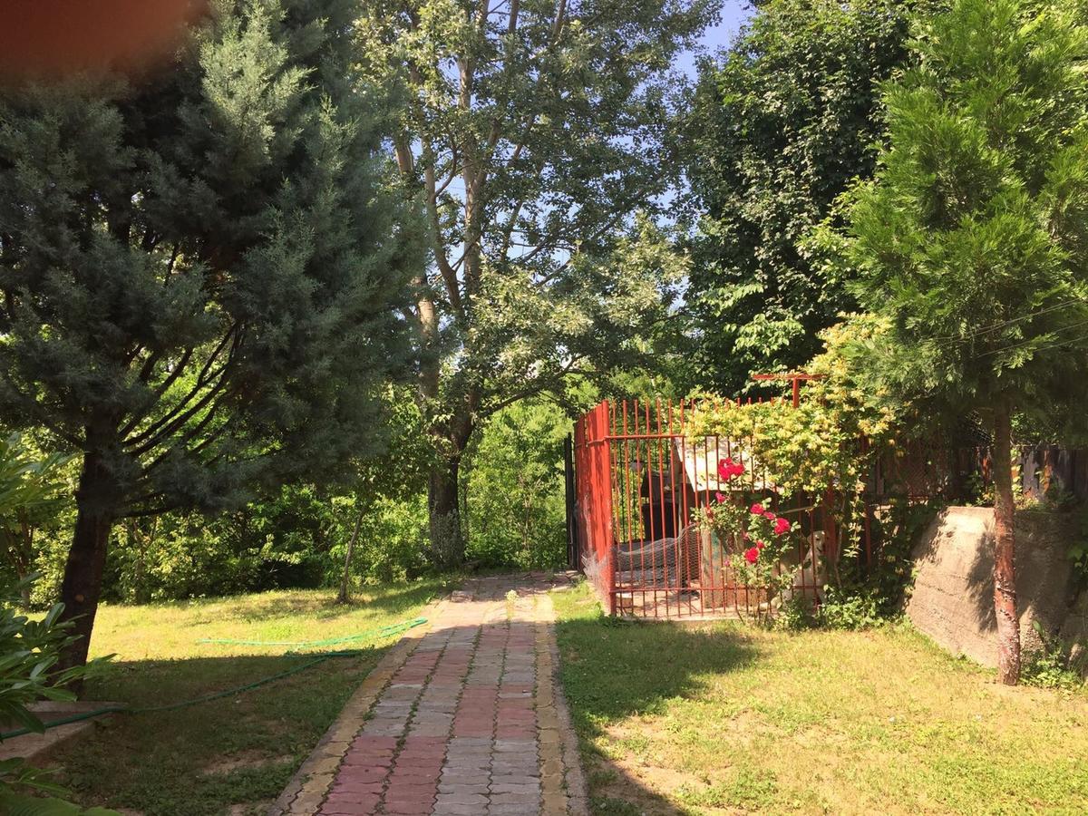 Guesthouse Vila Melisa Răsvadu de Sus 외부 사진