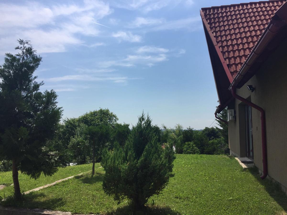 Guesthouse Vila Melisa Răsvadu de Sus 외부 사진