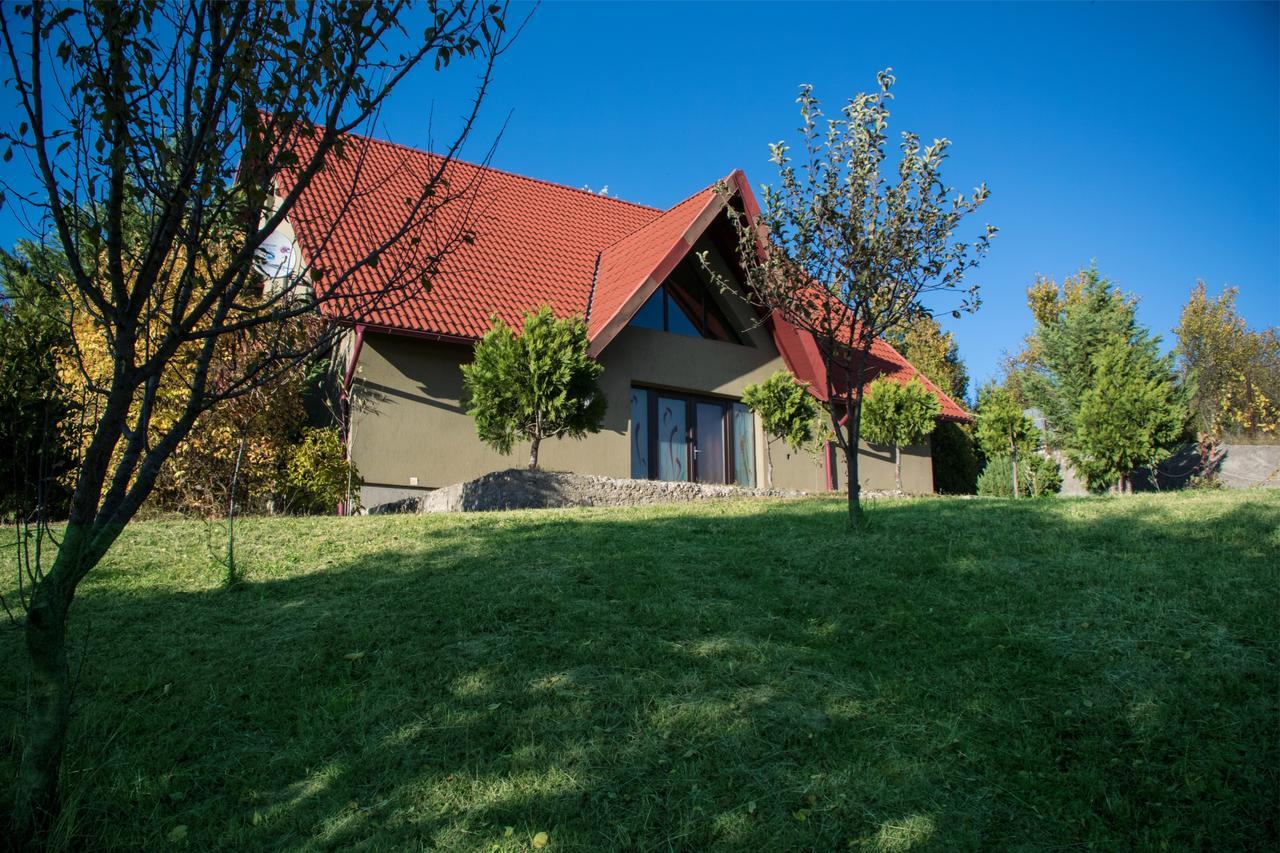 Guesthouse Vila Melisa Răsvadu de Sus 외부 사진