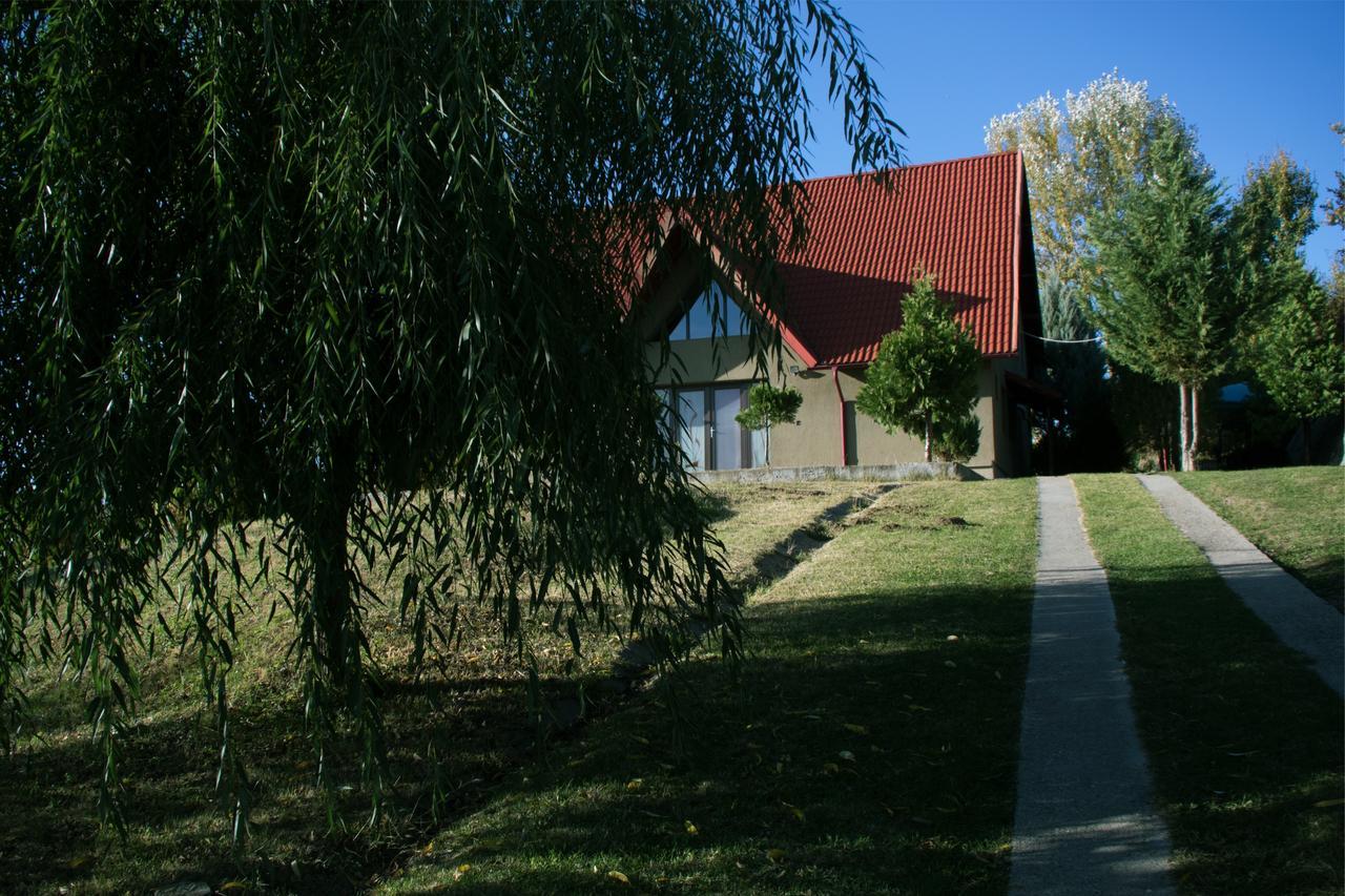 Guesthouse Vila Melisa Răsvadu de Sus 외부 사진