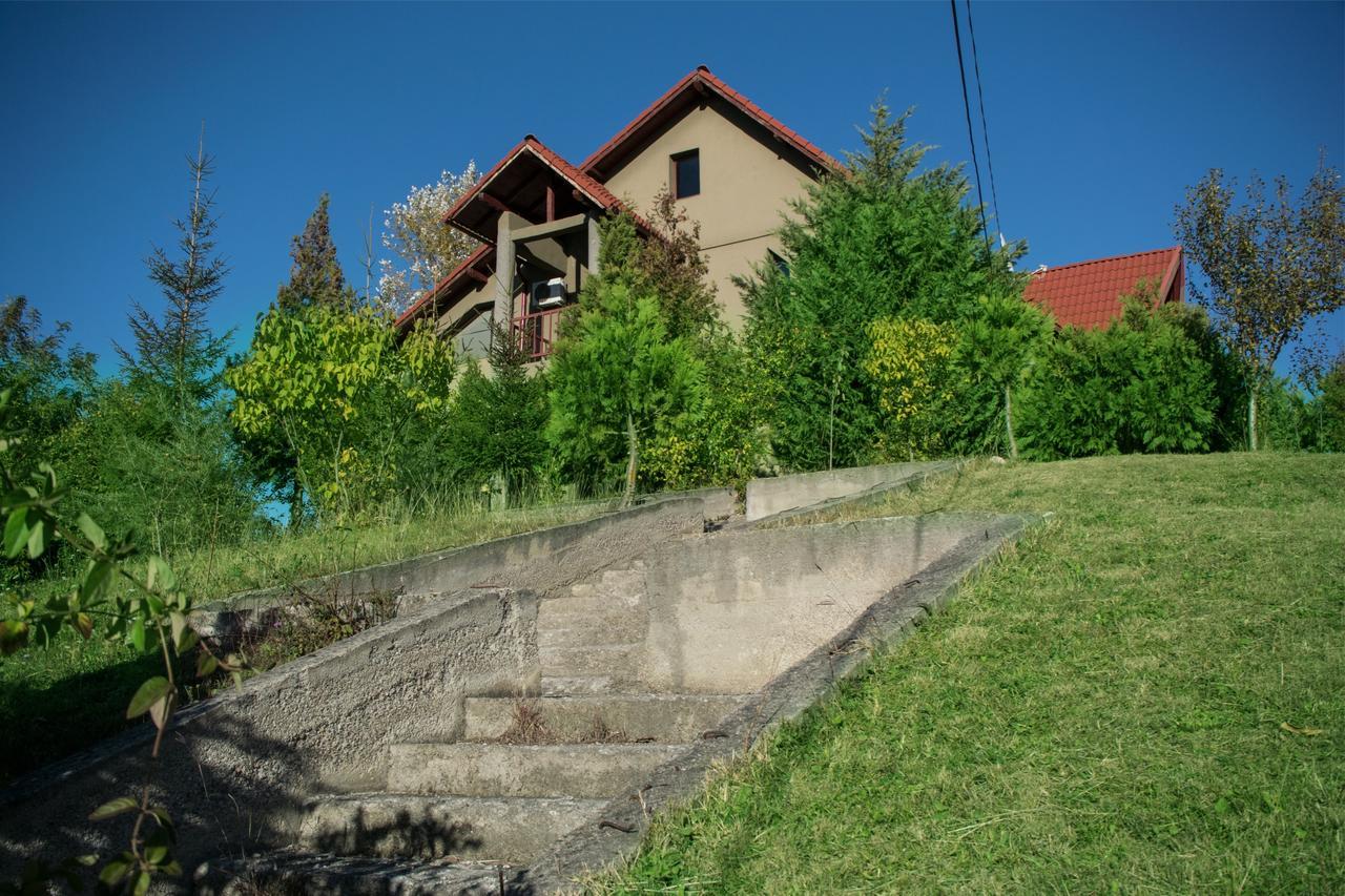 Guesthouse Vila Melisa Răsvadu de Sus 외부 사진