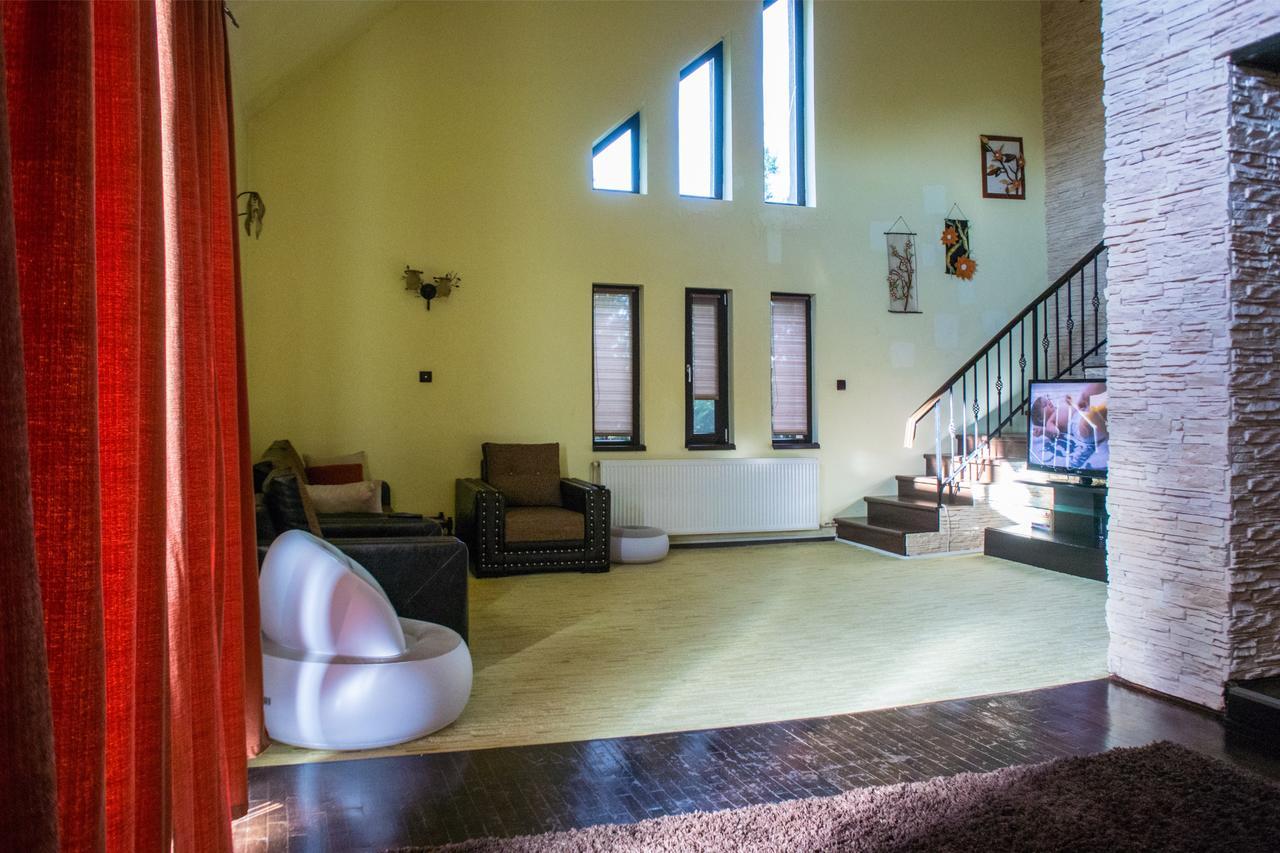 Guesthouse Vila Melisa Răsvadu de Sus 외부 사진